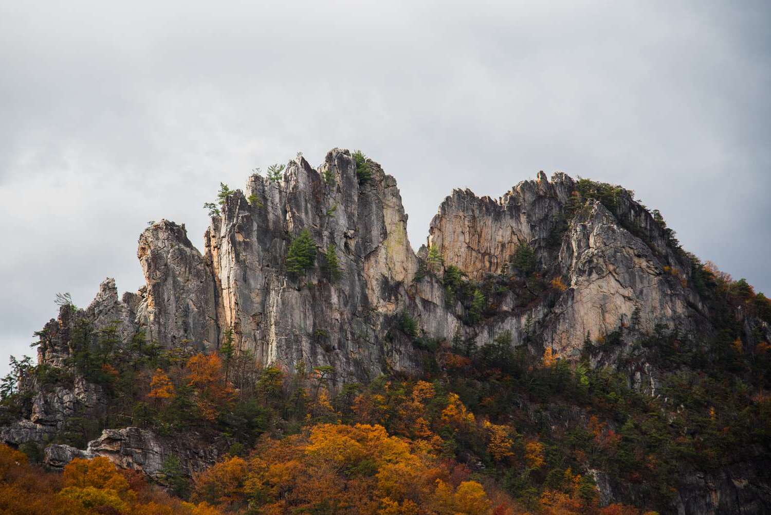 Hidden-Forest-Gorges-Of-Seneca-Rocks-In-West-Virginia hidden-forest-gorges-of-seneca-rocks-in-west-virginia