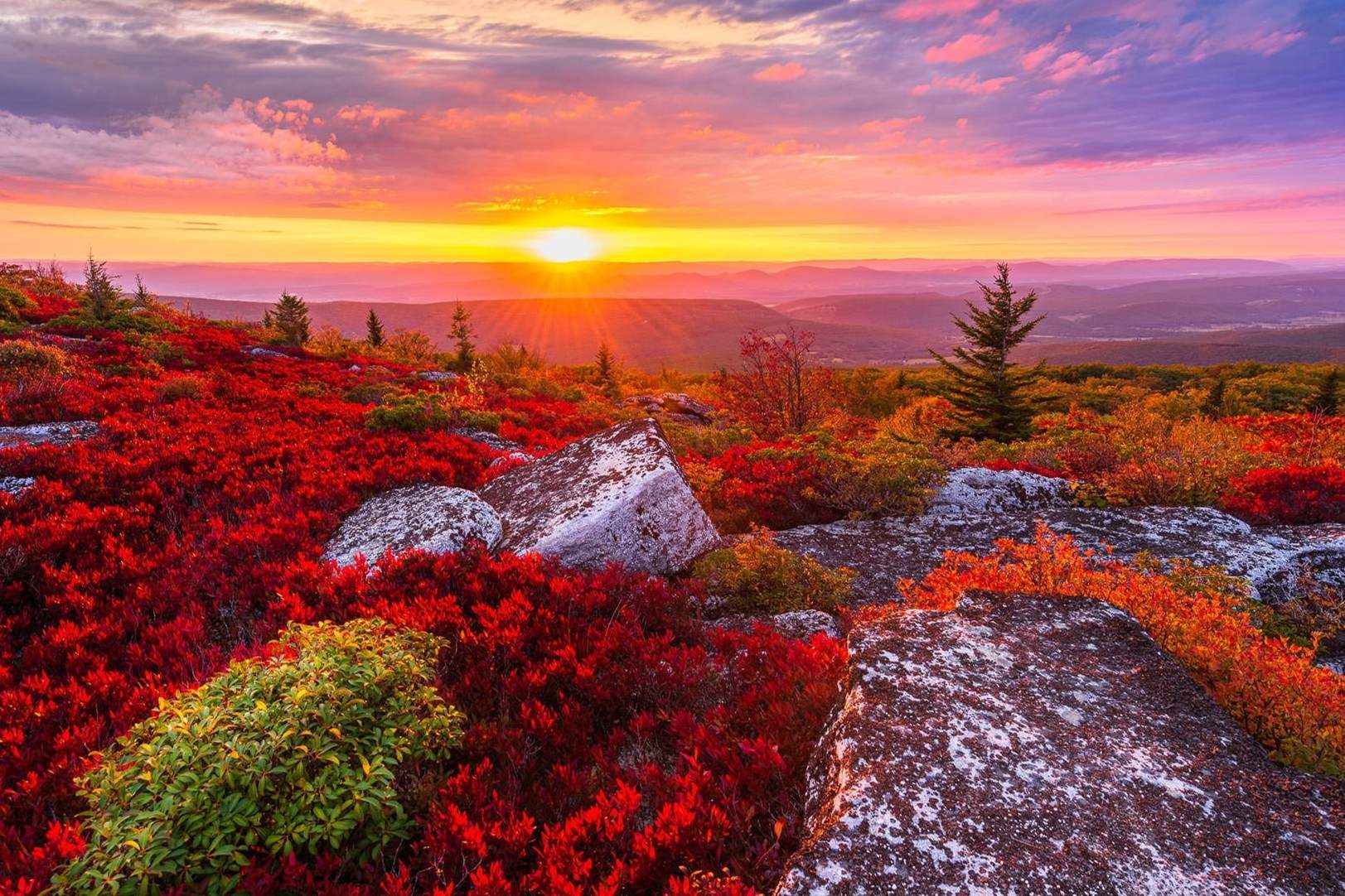 Hidden-Forest-Gorges-Of-West-Virginia8217s-Dolly-Sods hidden-forest-gorges-of-west-virginias-dolly-sods