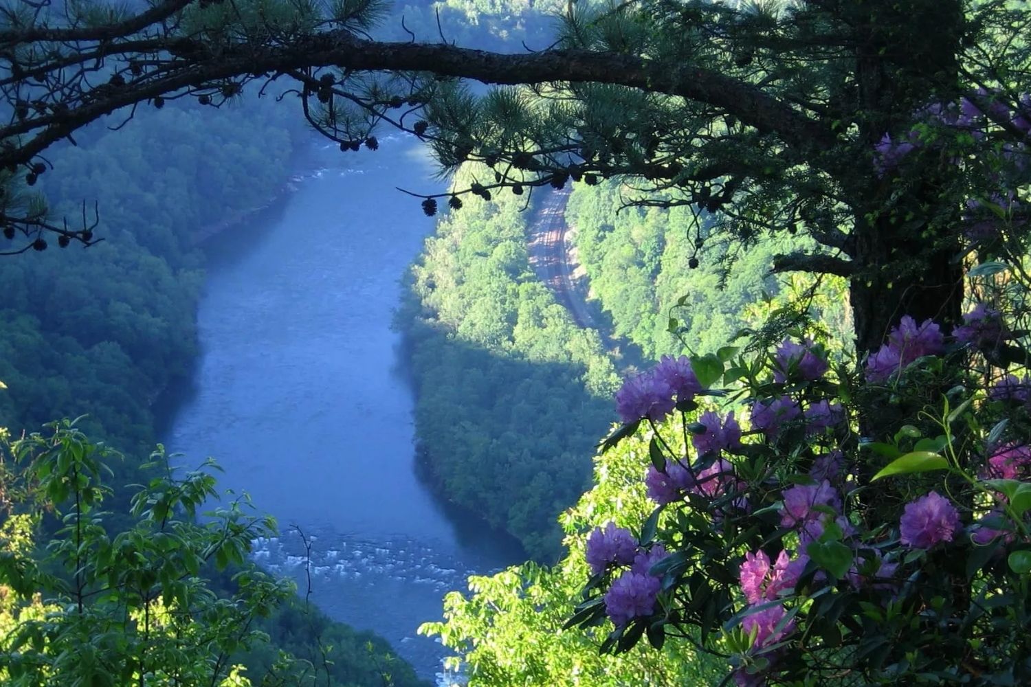 Hidden-Forest-Gorges-Of-West-Virginia8217s-Gauley-River hidden-forest-gorges-of-west-virginias-gauley-river
