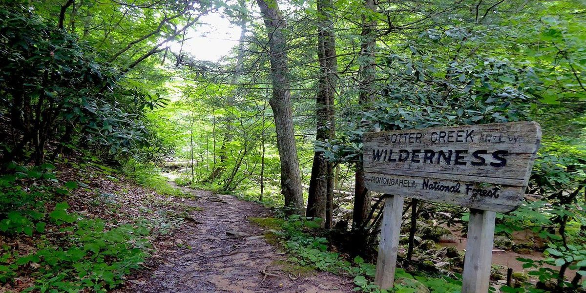 Hidden-Forest-Gorges-Of-West-Virginia8217s-Otter-Creek hidden-forest-gorges-of-west-virginias-otter-creek
