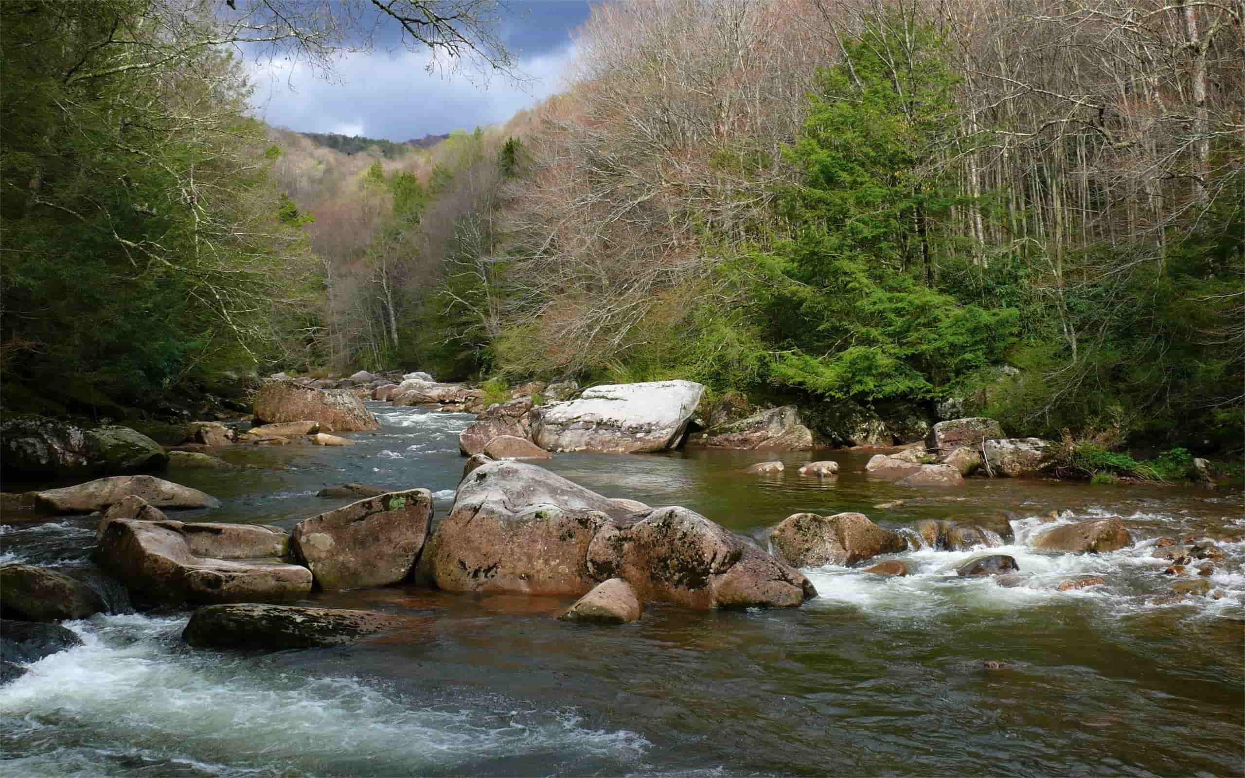 Hidden-Forest-Gorges-Of-West-Virginia8217s-Trout-Run hidden-forest-gorges-of-west-virginias-trout-run