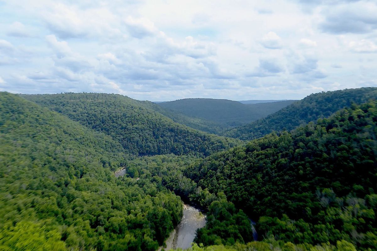 hidden-forest-hollows-along-pennsylvanias-loyalsock-trail