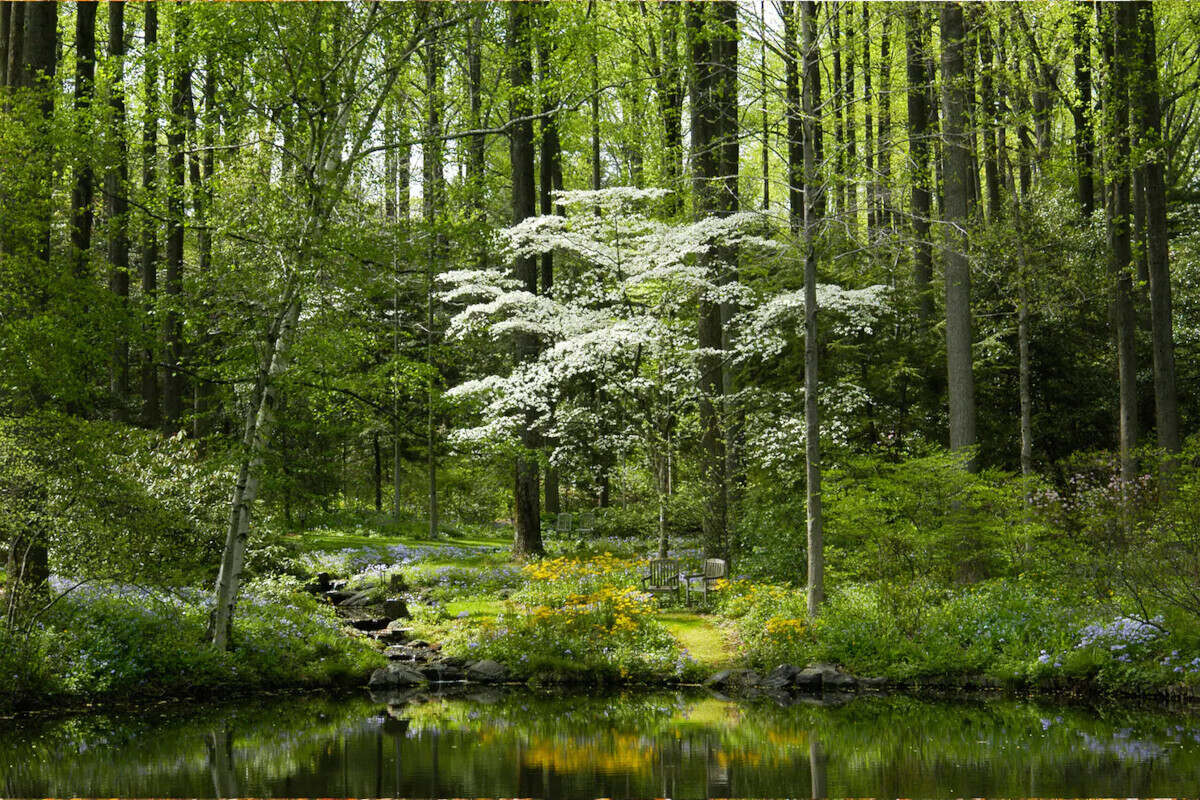hidden-forest-hollows-in-kentuckys-berea