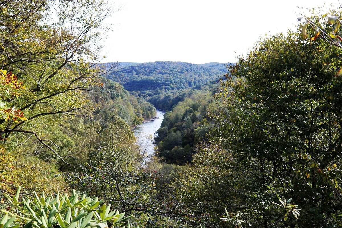 Hidden-Forest-Hollows-In-Pennsylvania8217s-Bear-Run-Nature-Reserve hidden-forest-hollows-in-pennsylvanias-bear-run-nature-reserve