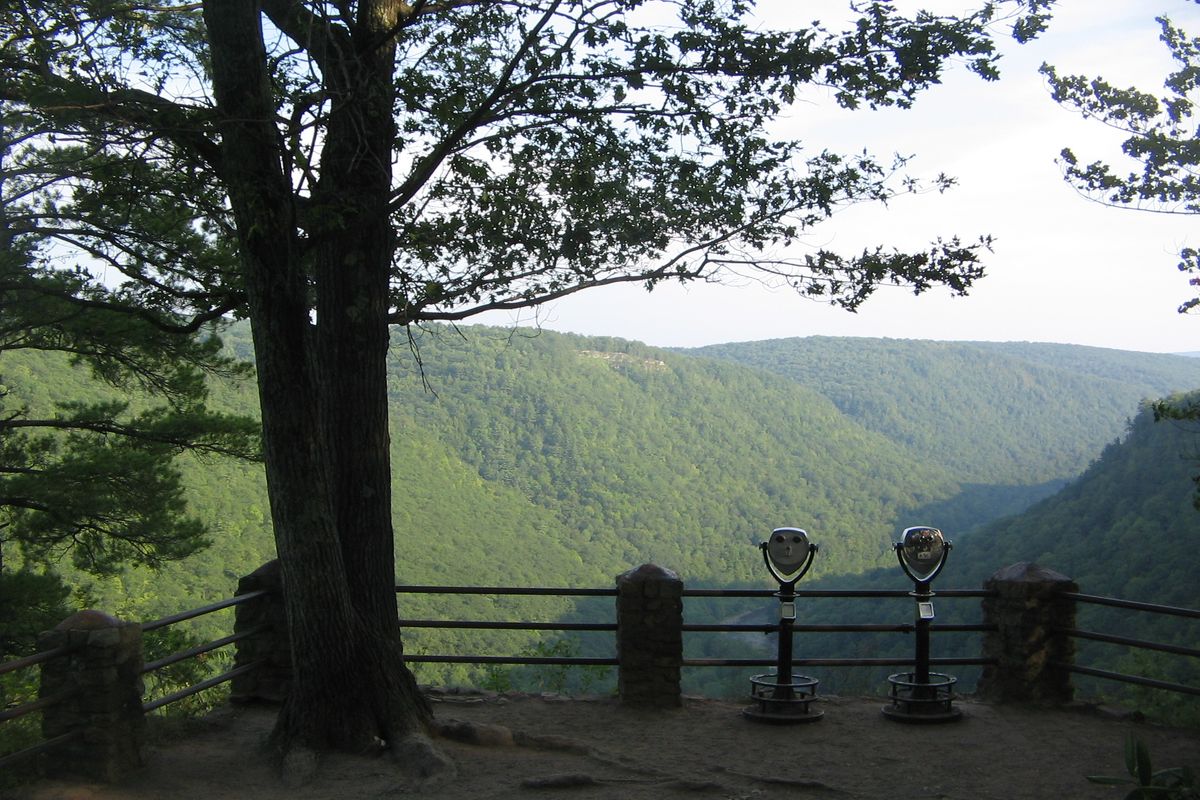 Hidden-Forest-Hollows-In-Pennsylvania8217s-Colton-Point hidden-forest-hollows-in-pennsylvanias-colton-point