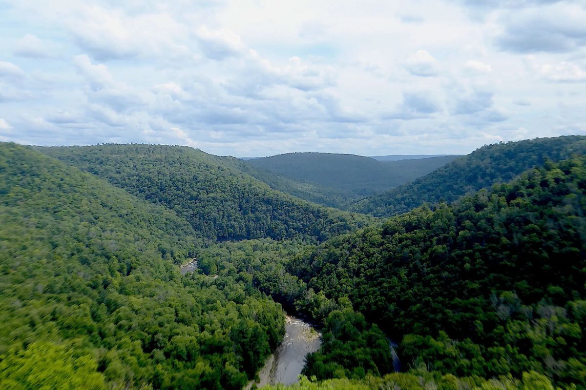 Hidden-Forest-Hollows-In-Pennsylvania8217s-Loyalsock-State-Forest hidden-forest-hollows-in-pennsylvanias-loyalsock-state-forest