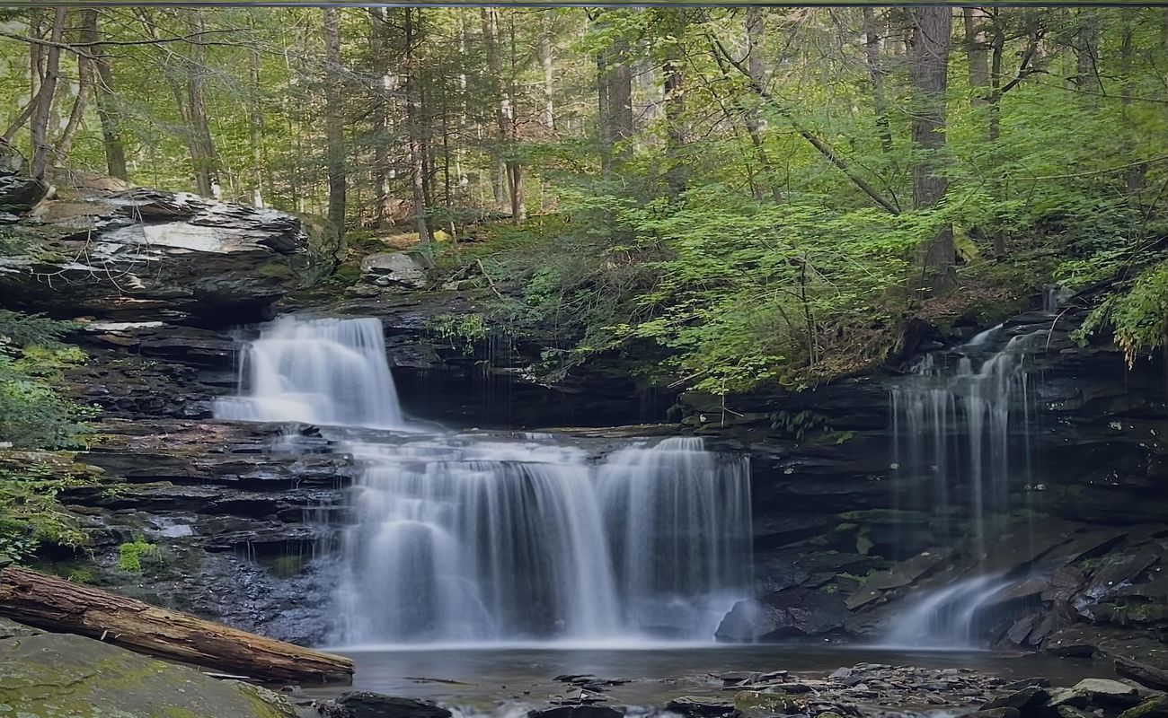 Hidden-Forest-Hollows-In-Pennsylvania8217s-Ricketts-Glen hidden-forest-hollows-in-pennsylvanias-ricketts-glen