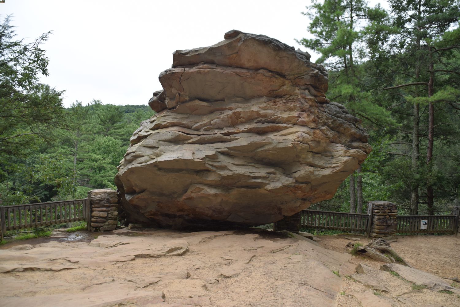 hidden-forest-hollows-in-pennsylvanias-trough-creek