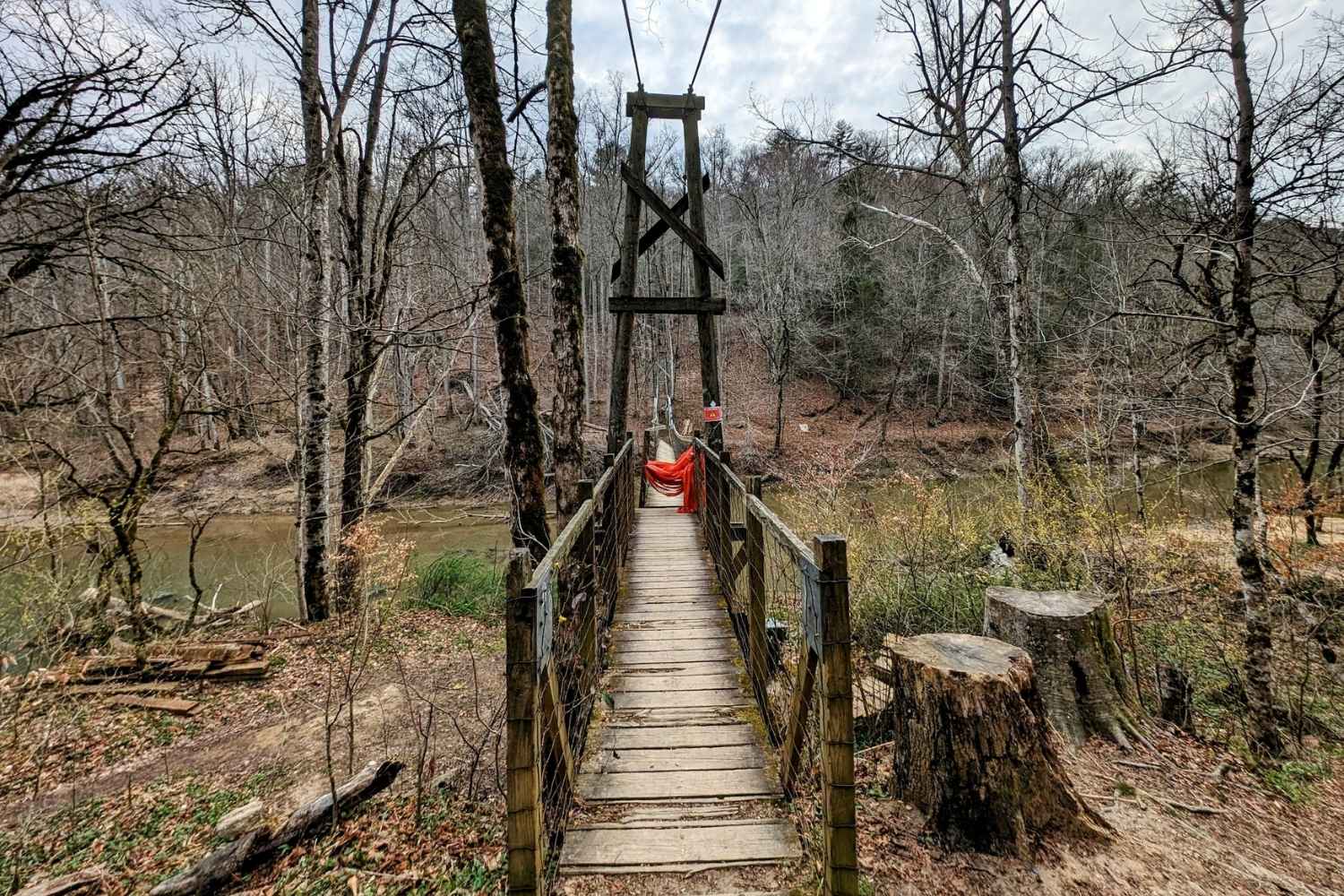 Hidden-Forest-Hollows-Of-Kentucky8217s-Sheltowee-Trace hidden-forest-hollows-of-kentuckys-sheltowee-trace