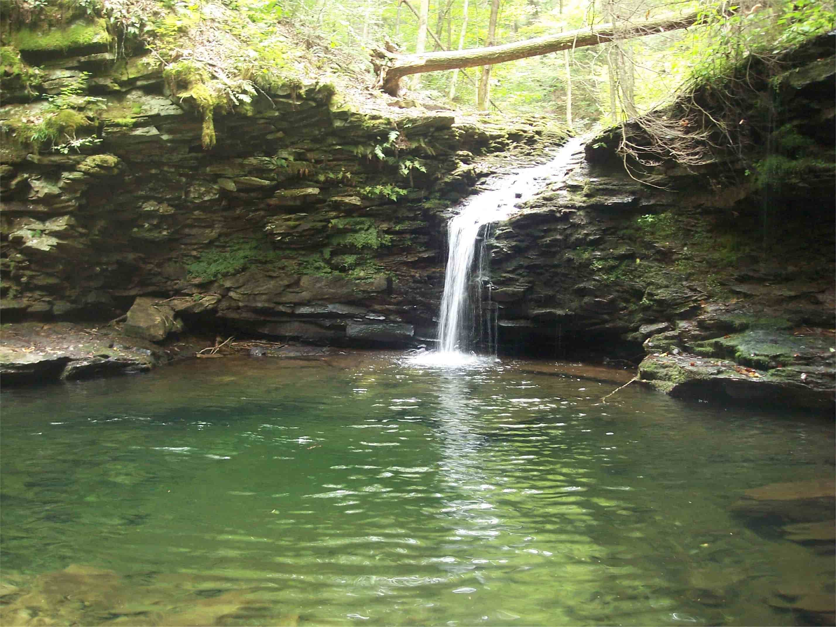 Hidden-Forest-Hollows-Of-Pennsylvania8217s-Worlds-End hidden-forest-hollows-of-pennsylvanias-worlds-end