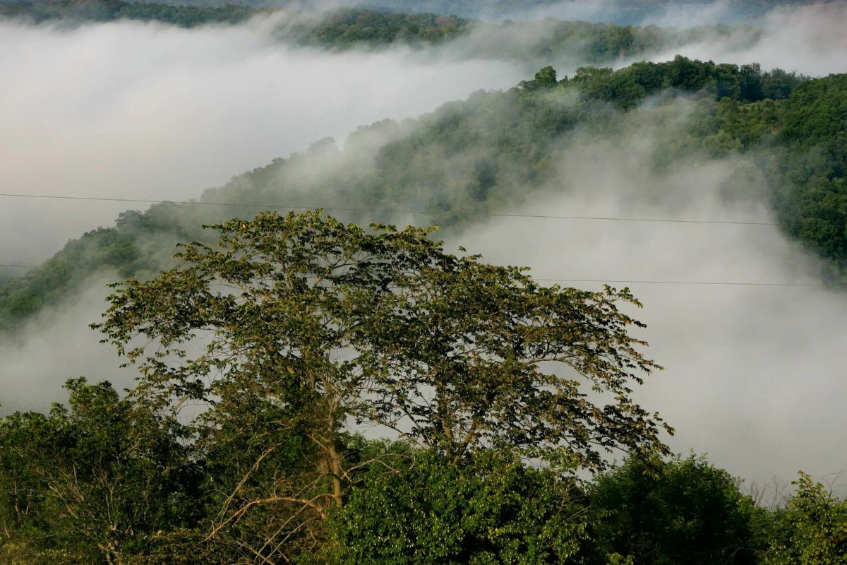 hidden-forest-meadows-in-wisconsins-kickapoo-valley