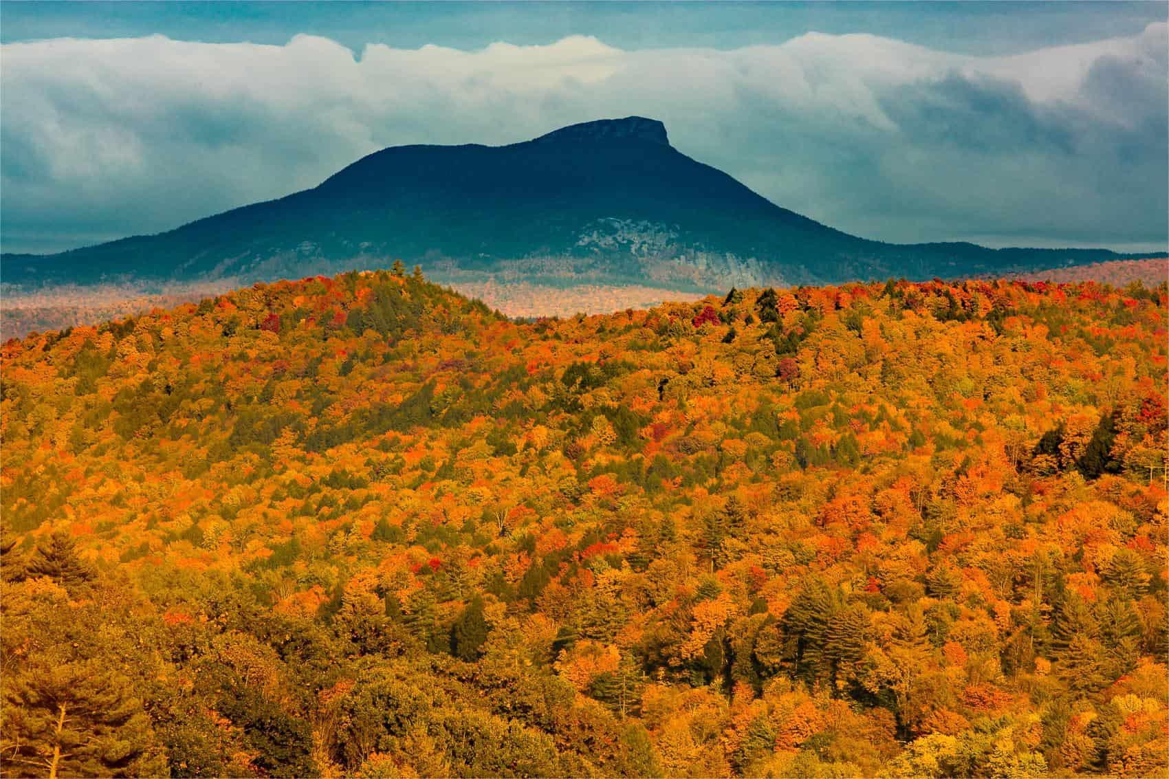 Hidden-Forest-Meadows-Of-Vermont8217s-Camel8217s-Hump hidden-forest-meadows-of-vermonts-camels-hump