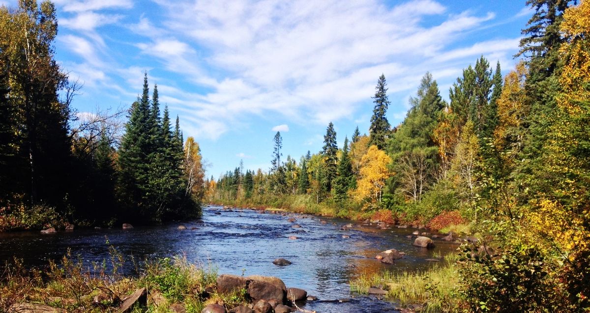 hidden-forest-ponds-in-minnesotas-superior-national-forest