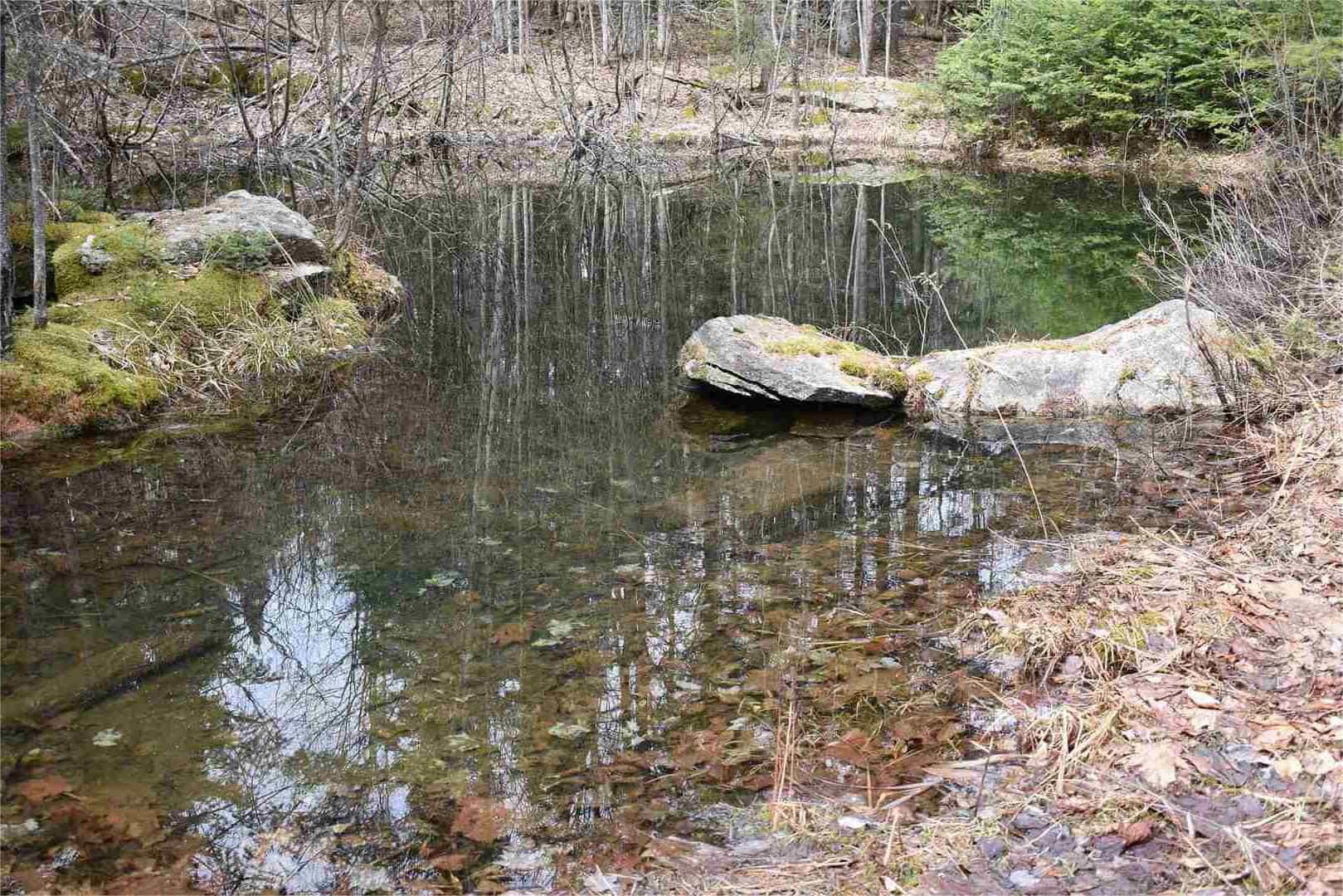 Hidden-Forest-Ponds-In-Vermont8217s-Northeast-Kingdom hidden-forest-ponds-in-vermonts-northeast-kingdom