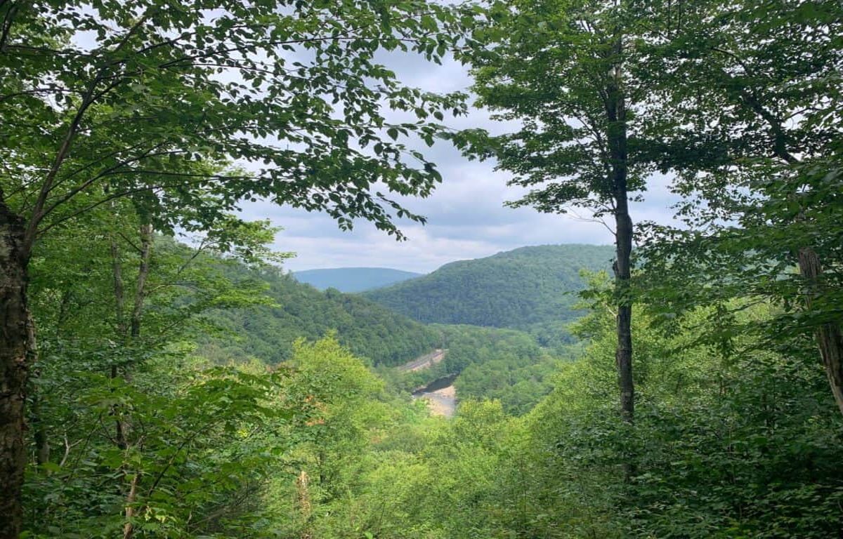 Hidden-Forest-Pools-In-Pennsylvania8217s-World8217s-End hidden-forest-pools-in-pennsylvanias-worlds-end