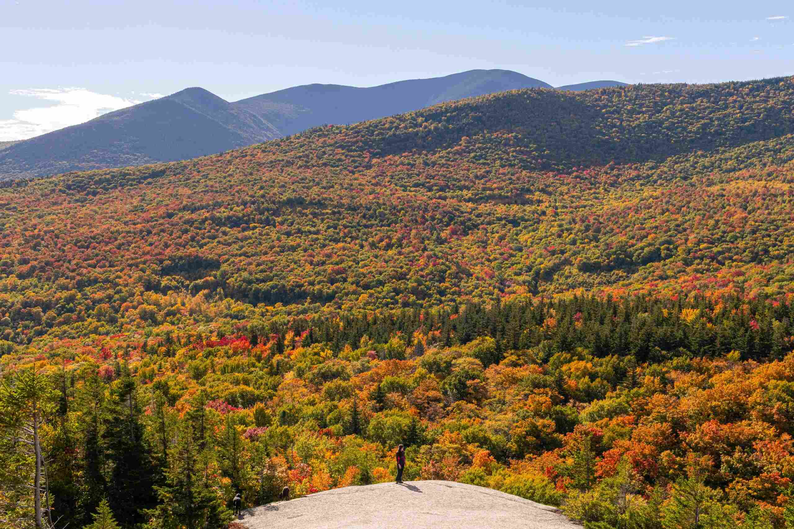Hidden-Forest-Stands-Of-New-Hampshire8217s-White-Mountains hidden-forest-stands-of-new-hampshires-white-mountains