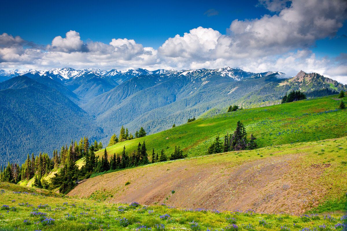 hidden-forest-valleys-of-washingtons-olympic-peninsula