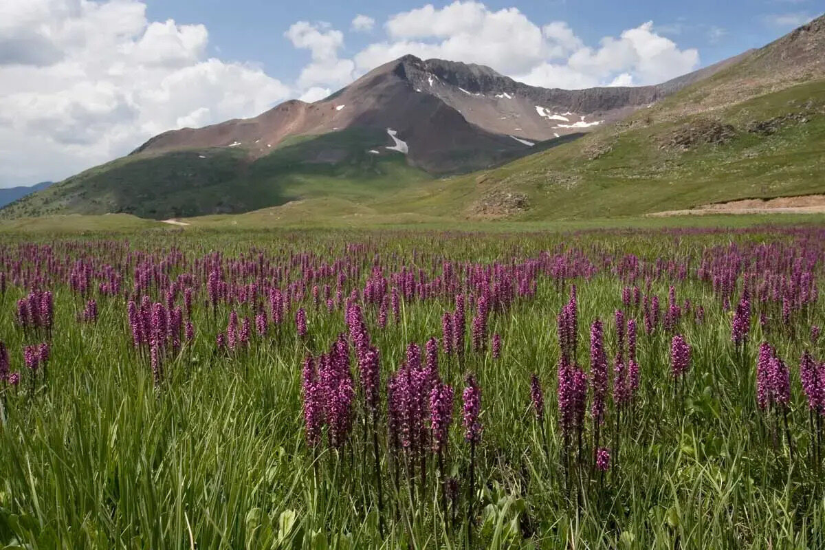 Hidden-Gems-Of-Colorado8217s-Front-Range-Ranches hidden-gems-of-colorados-front-range-ranches
