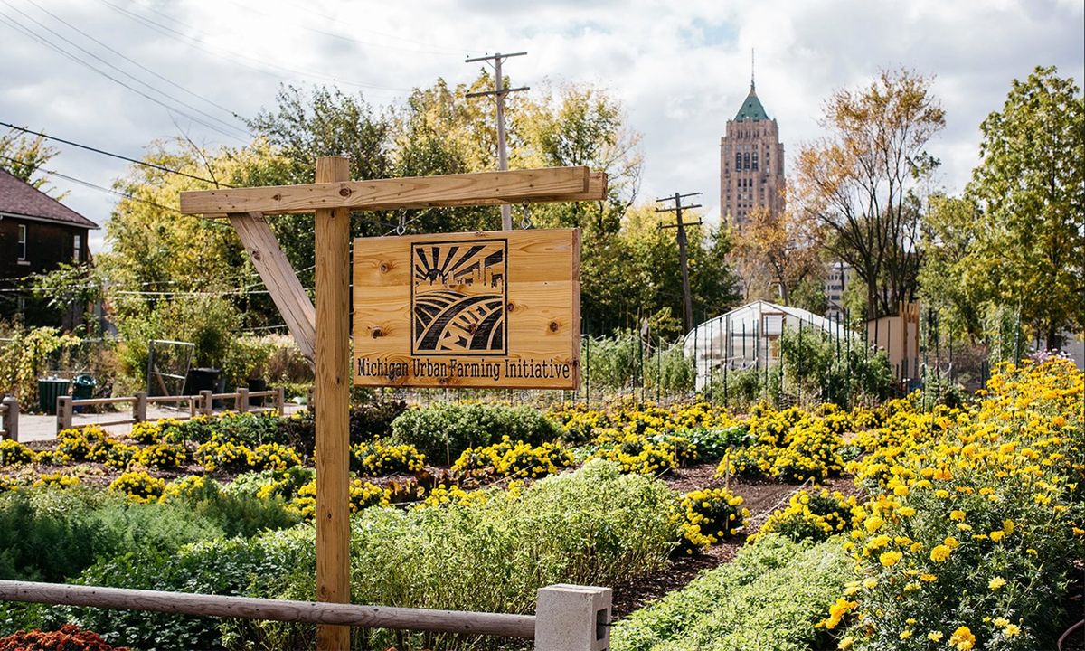 hidden-gems-of-urban-agriculture-in-detroit