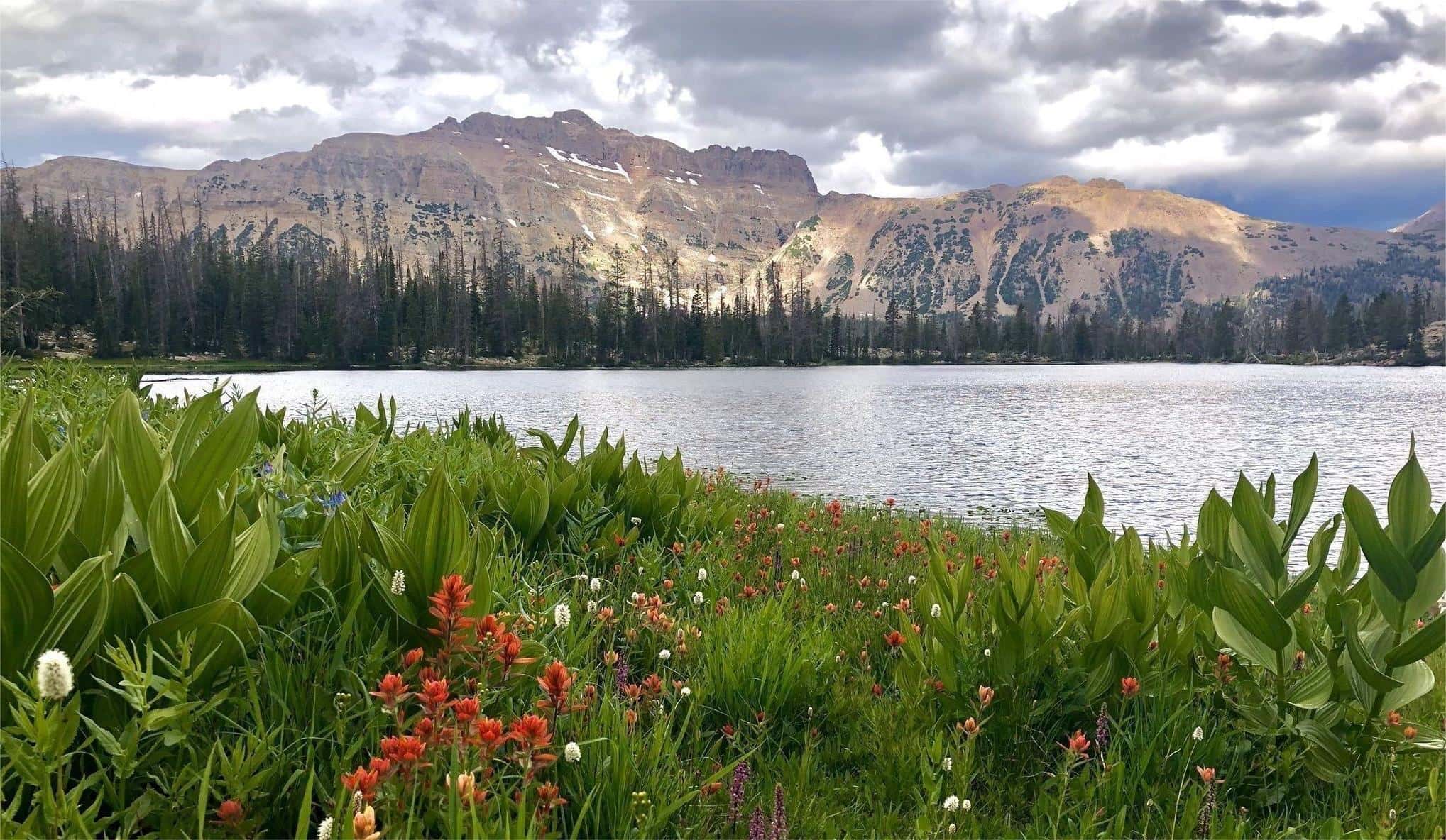 Hidden-Gems-Of-Utah8217s-High-Uintas hidden-gems-of-utahs-high-uintas