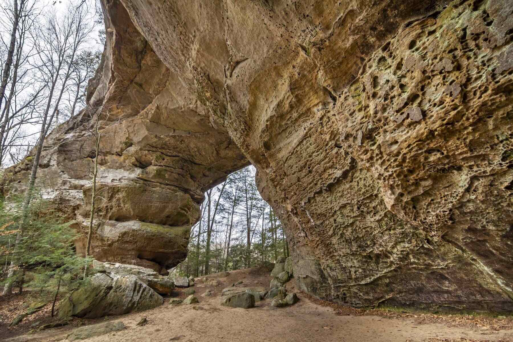 Hidden-Gorge-Trails-Of-Tennessee8217s-Big-South-Fork hidden-gorge-trails-of-tennessees-big-south-fork