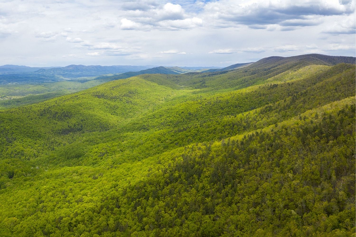 hidden-healing-springs-of-virginias-mountains