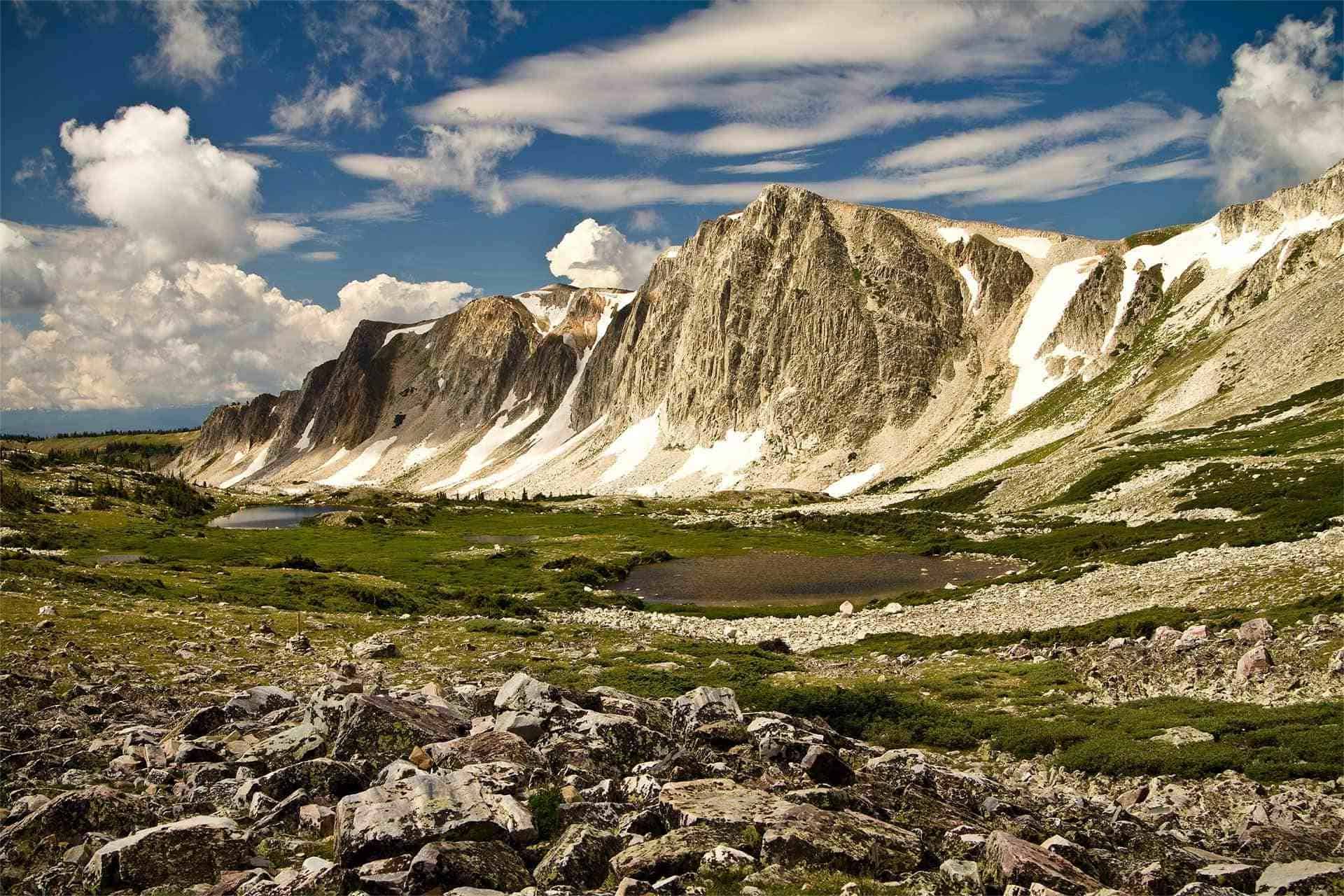Hidden-Moose-Meadows-In-Wyoming8217s-Medicine-Bow hidden-moose-meadows-in-wyomings-medicine-bow