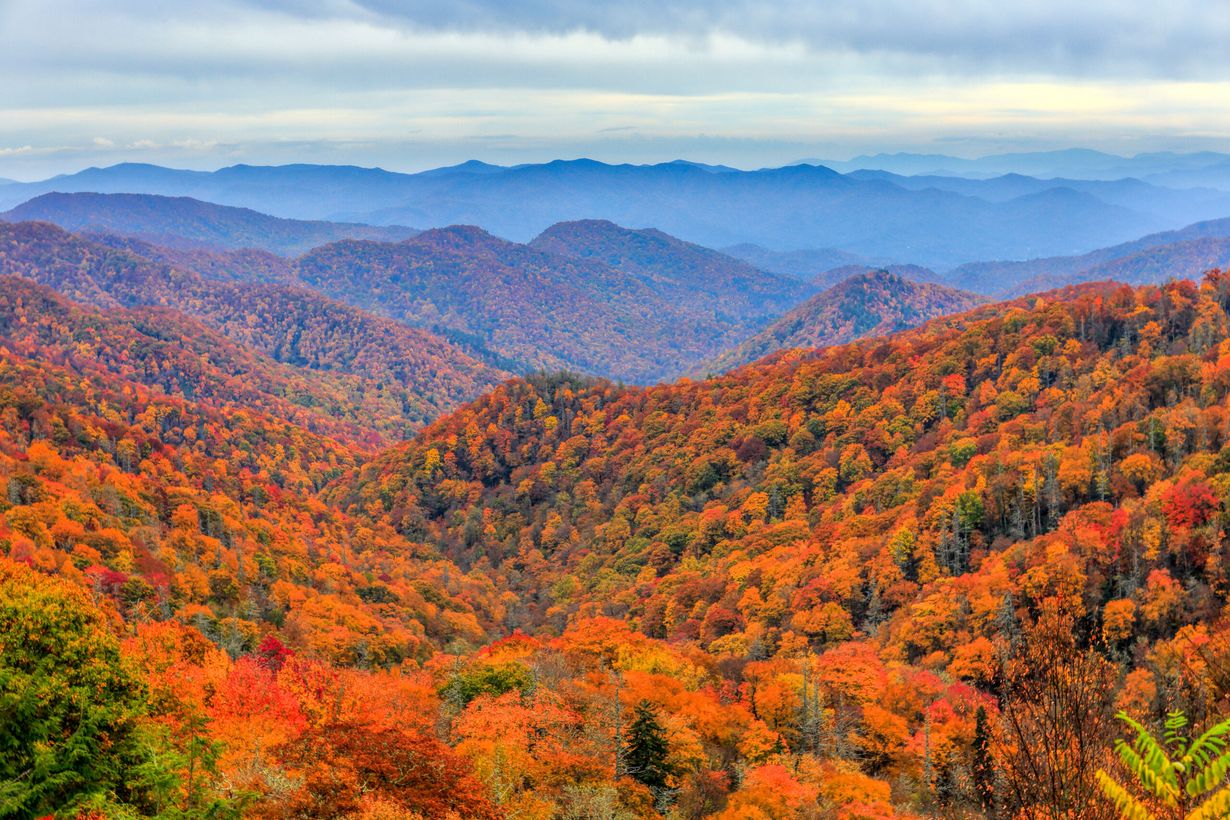 hidden-mountain-cabins-in-north-carolinas-smoky-mountains