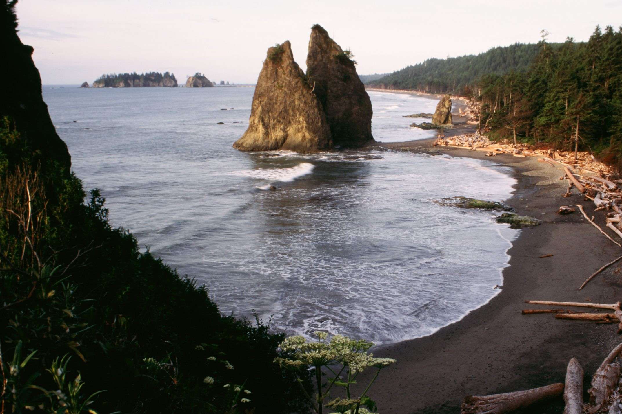 Hidden-Mountain-Cirques-Of-Washington8217s-Olympic-Peninsula hidden-mountain-cirques-of-washingtons-olympic-peninsula