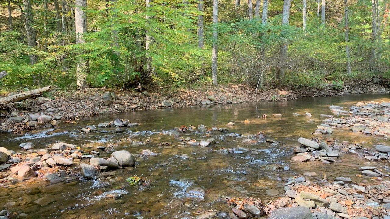 hidden-mountain-lakes-in-virginias-ramseys-draft