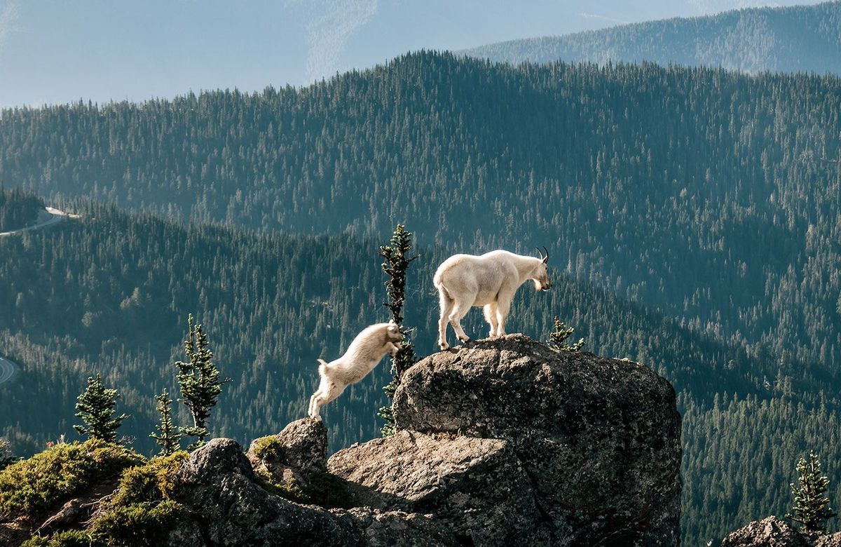 hidden-mountain-lakes-in-washingtons-olympic-national-park