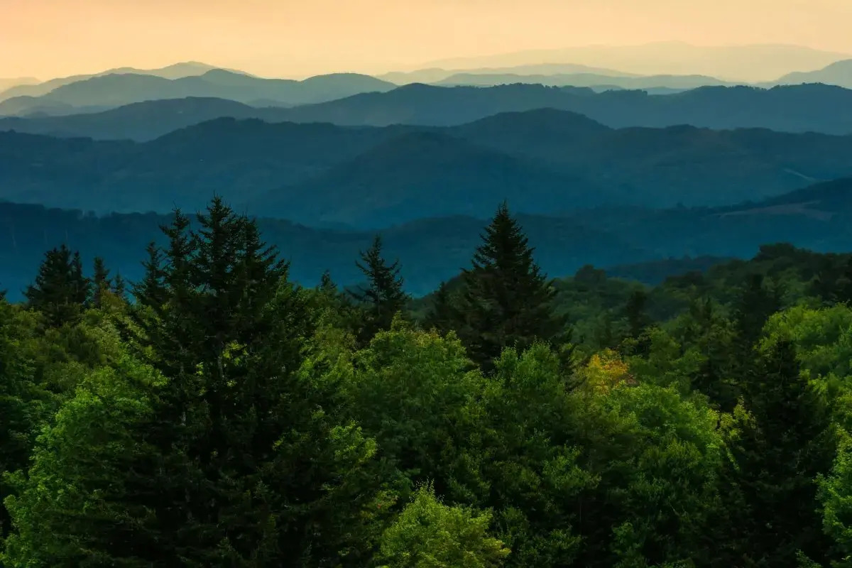 hidden-mountain-lakes-of-virginias-mount-rogers