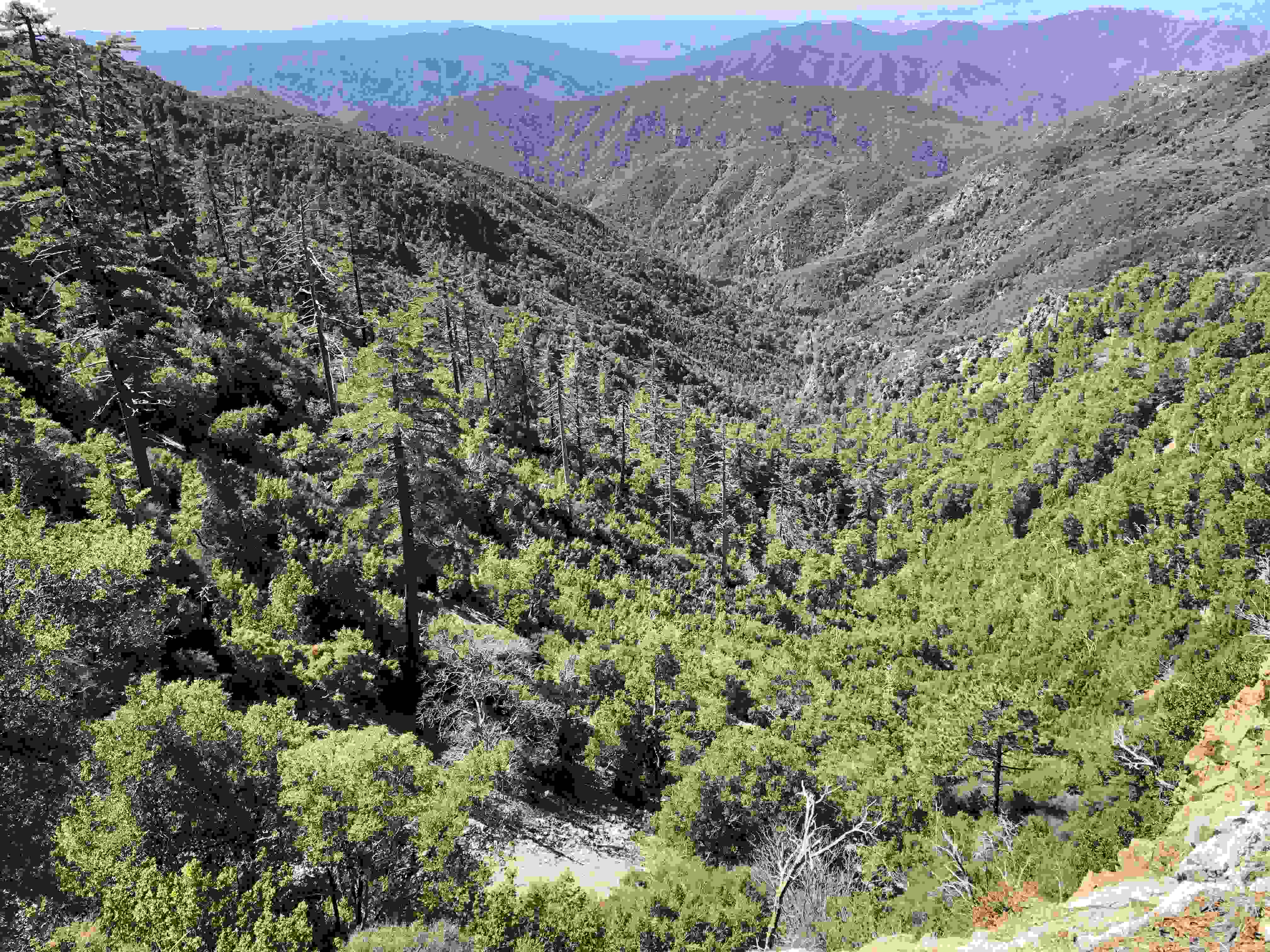 hidden-mountain-passes-in-californias-ventana-wilderness