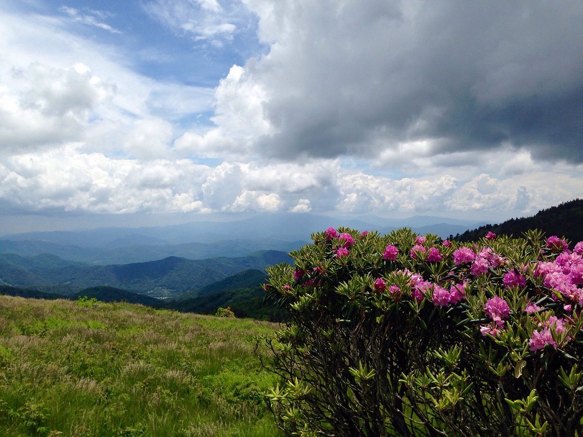 hidden-mountain-passes-of-roan-mountain-in-tennessee