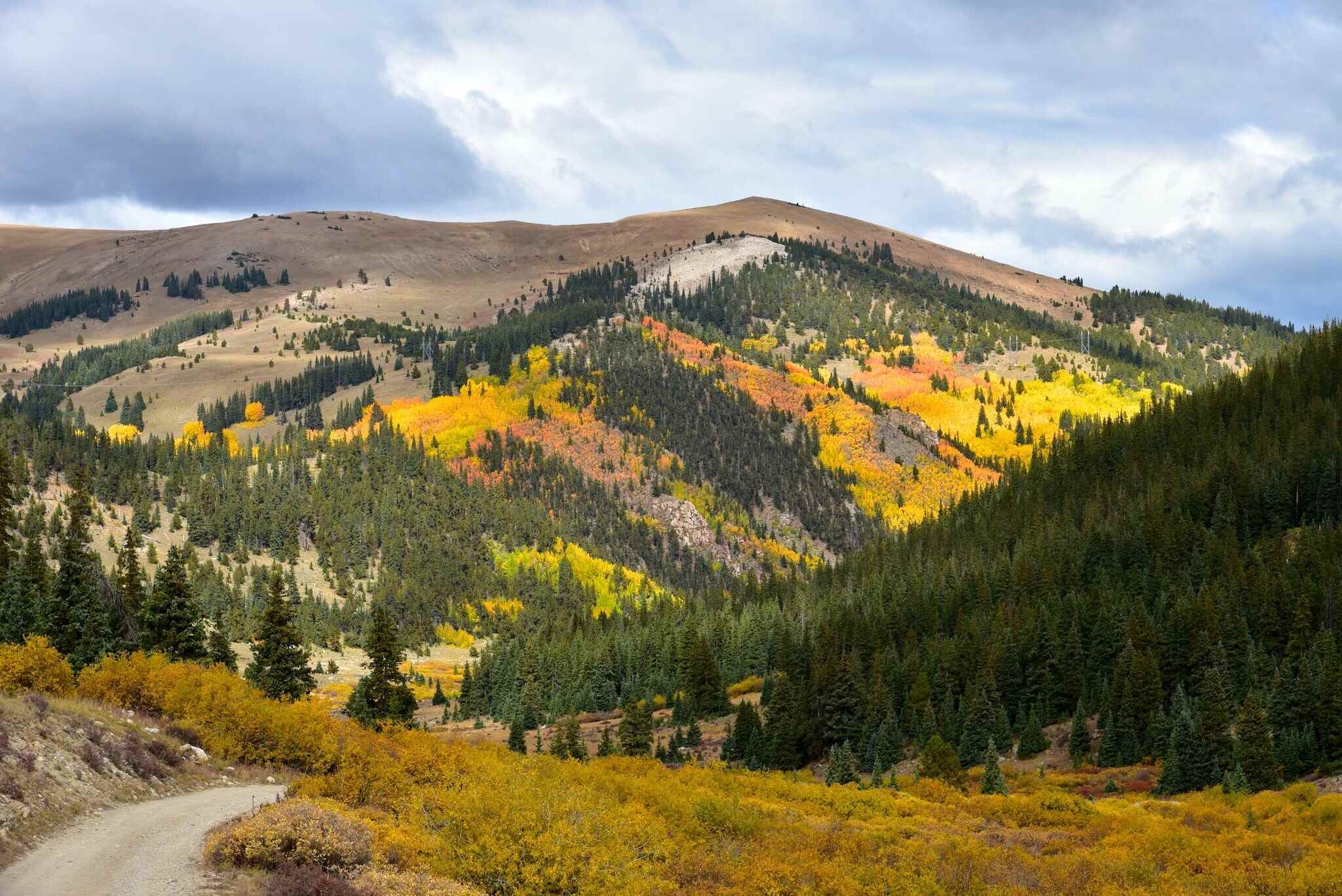 hidden-mountain-springs-in-colorados-san-isabel-forest