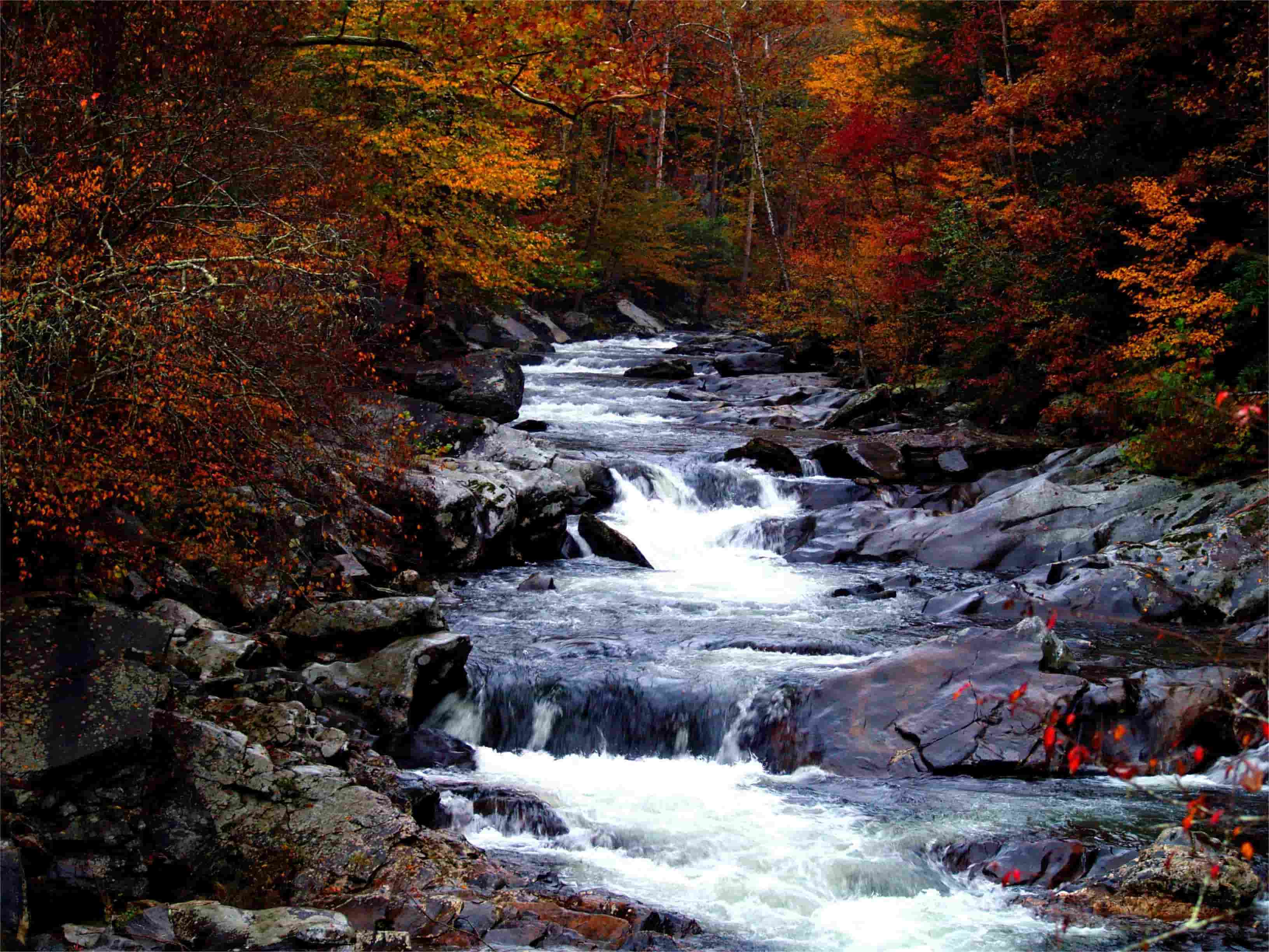hidden-mountain-streams-of-tennessees-great-smoky-mountains