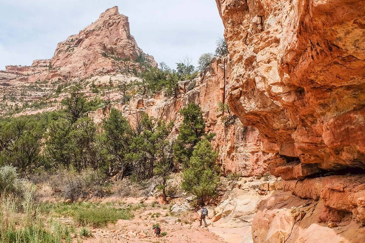 hidden-mountain-valleys-in-utahs-dark-canyon