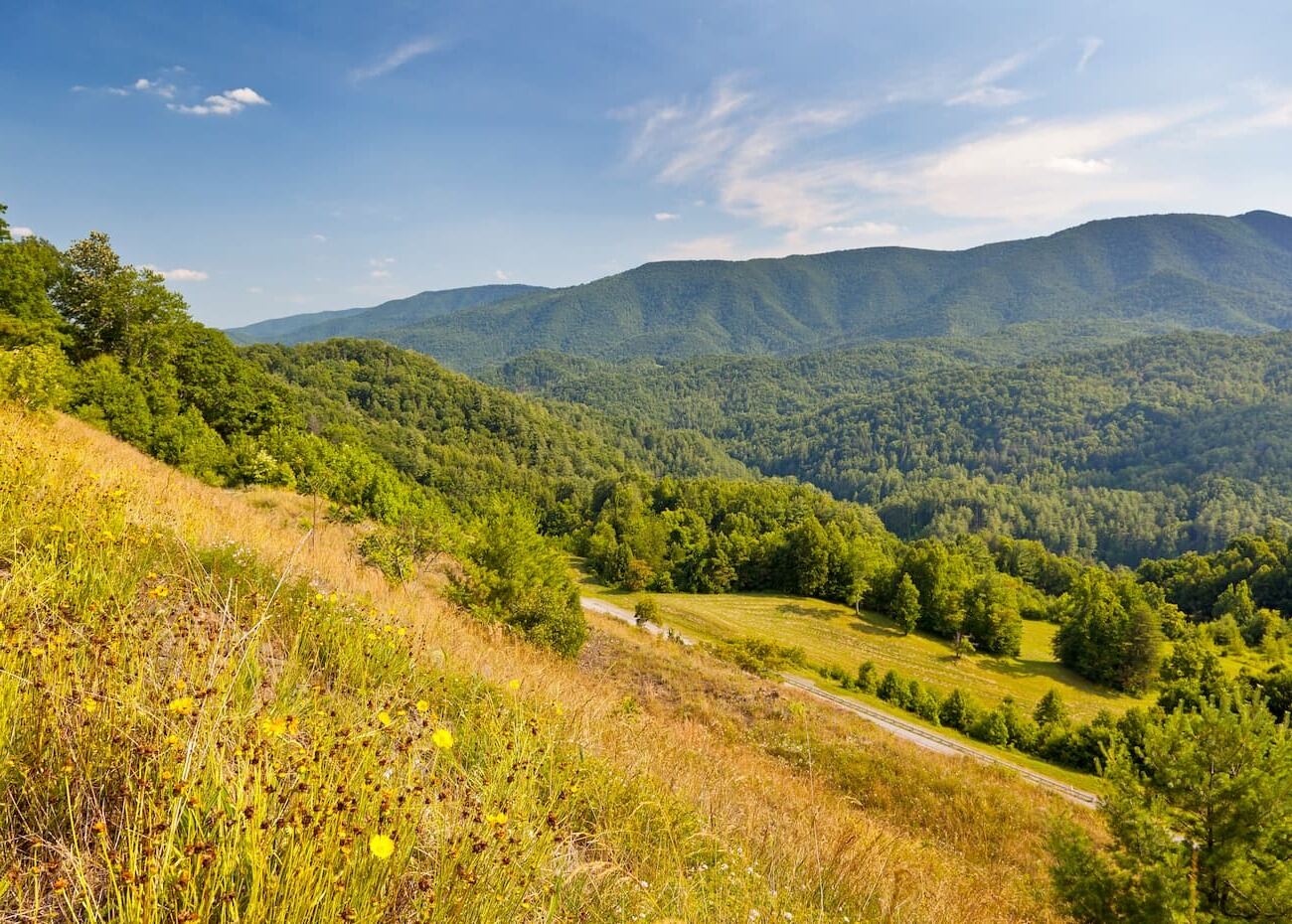 hidden-mountain-vistas-in-tennessees-unaka-range