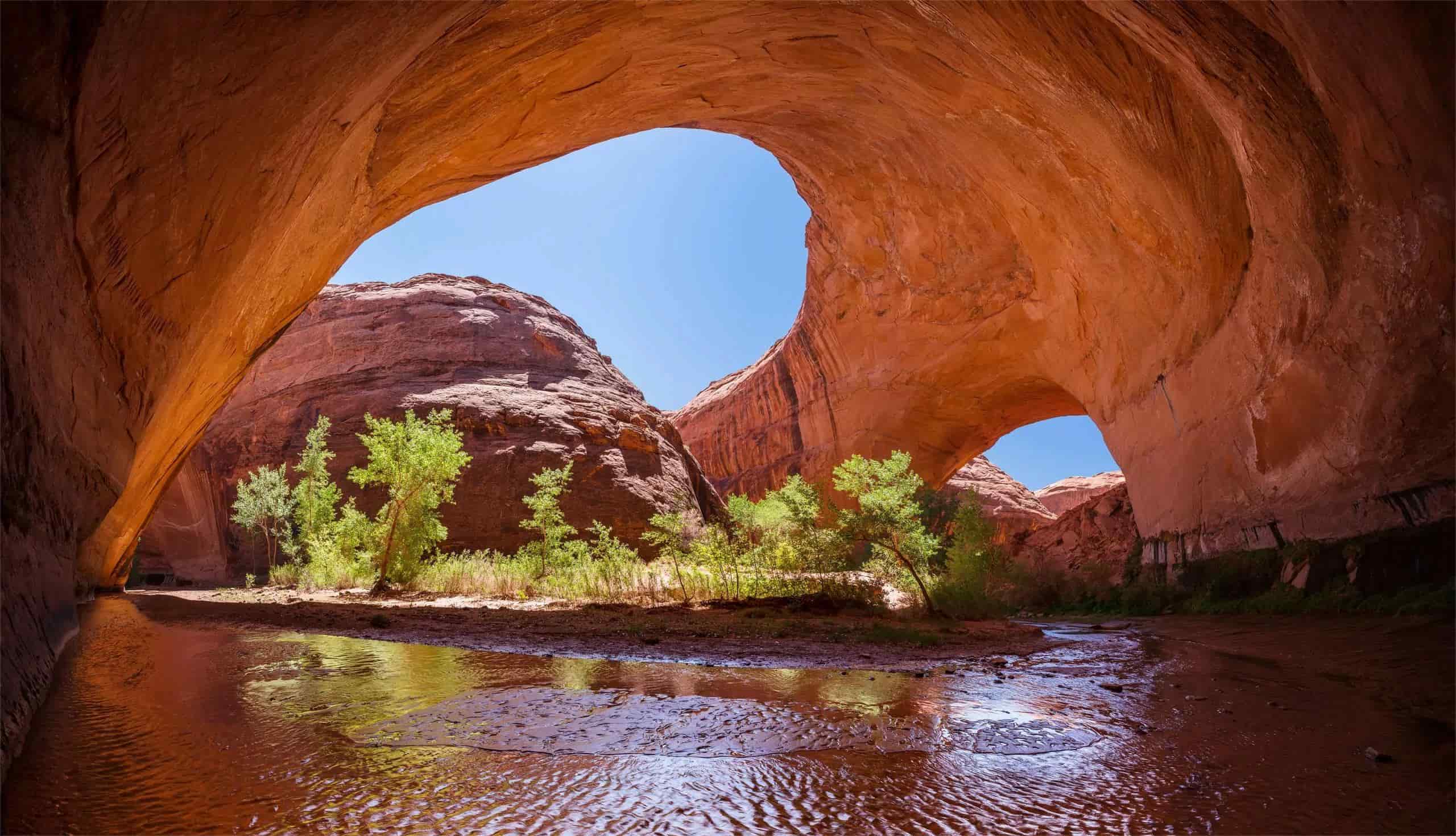 hidden-petrified-forests-of-utahs-grand-staircase