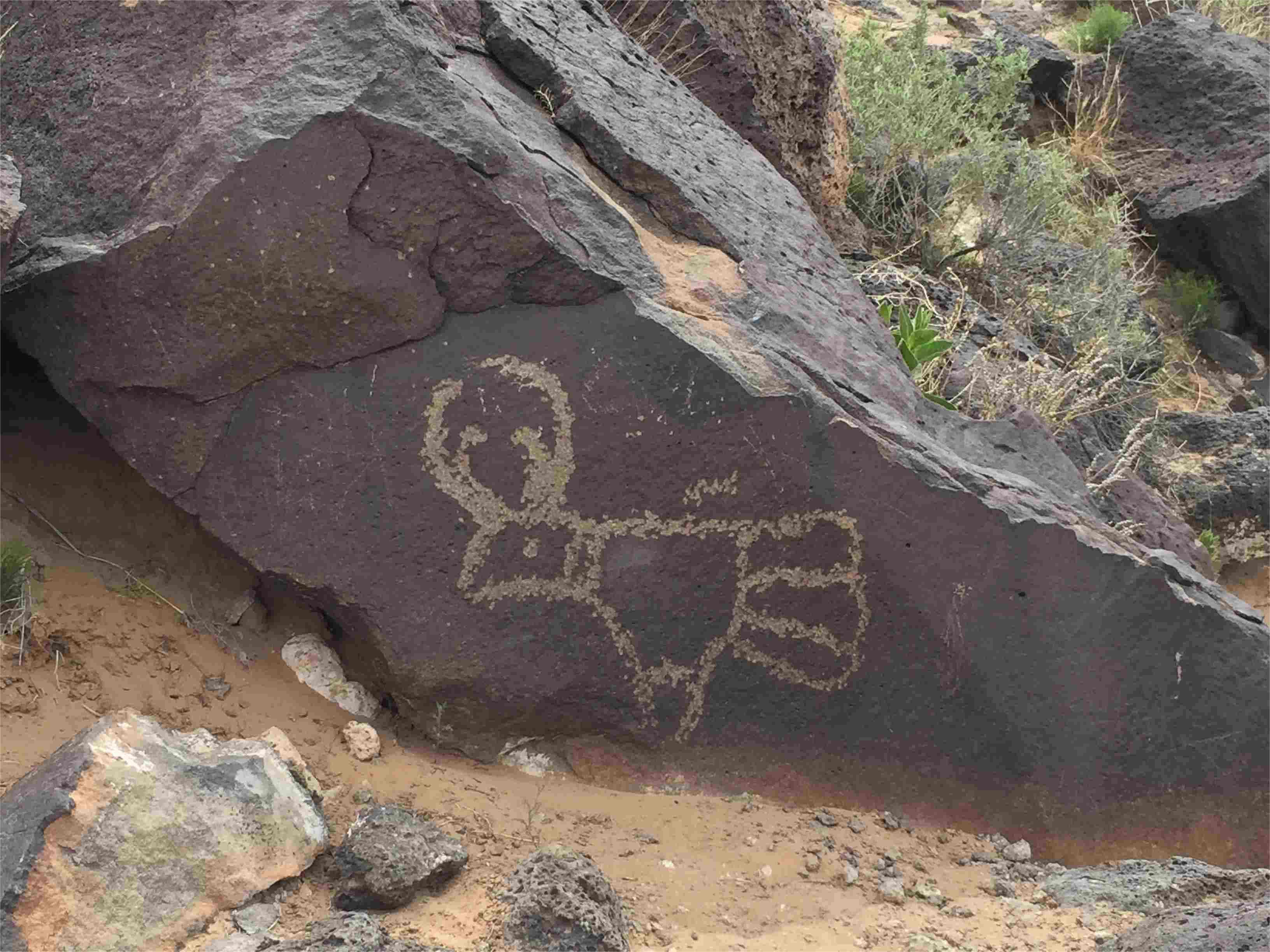 hidden-petroglyph-fields-in-new-mexicos-ojito-wilderness
