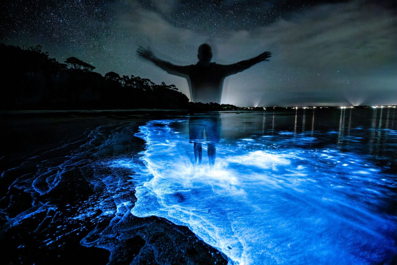 Hidden-Phosphorescent-Bays-Of-Puerto-Rico8217s-Islets hidden-phosphorescent-bays-of-puerto-ricos-islets