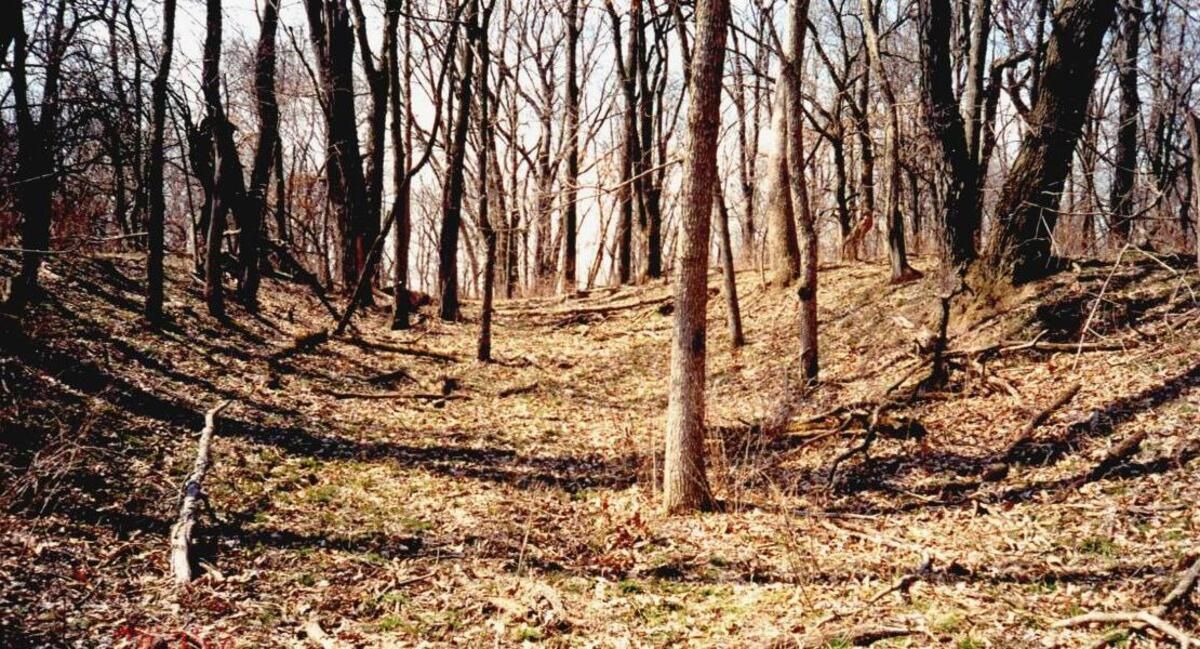 hidden-pioneer-crossings-of-missouris-boonslick