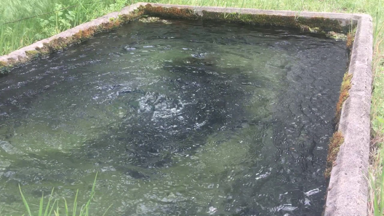 hidden-pioneer-settlements-of-kansass-diamond-springs