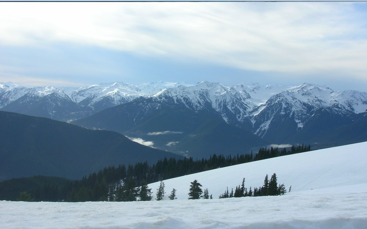 Hidden-Rainforest-Canopies-Of-Washington8217s-Olympic-Range hidden-rainforest-canopies-of-washingtons-olympic-range