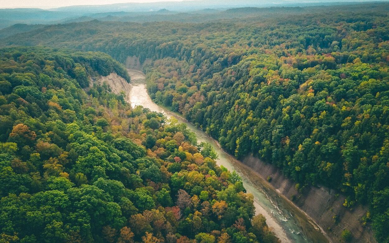 hidden-river-canyons-in-new-yorks-zoar-valley