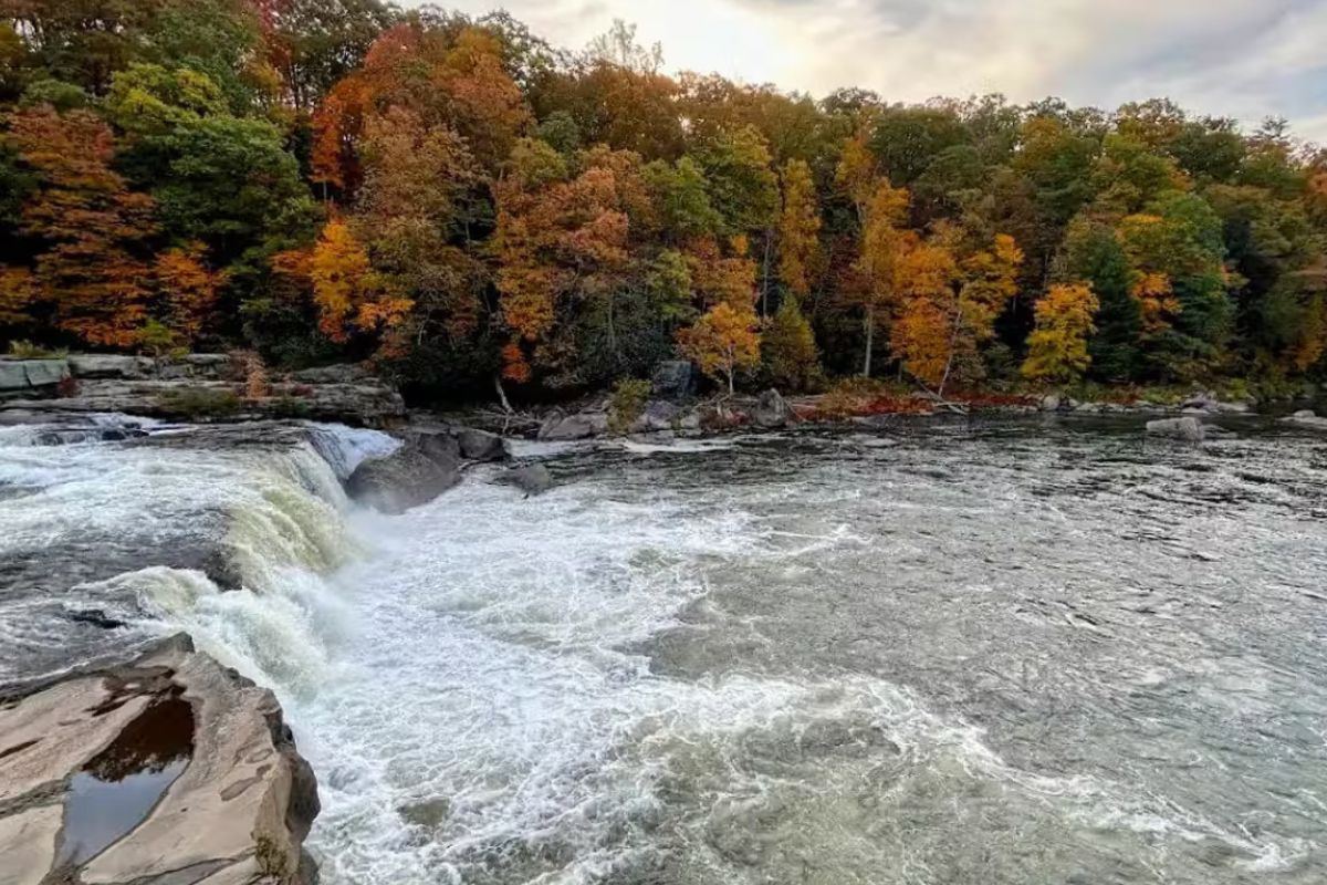 hidden-river-gorges-of-ohiopyle-falls-in-pennsylvania