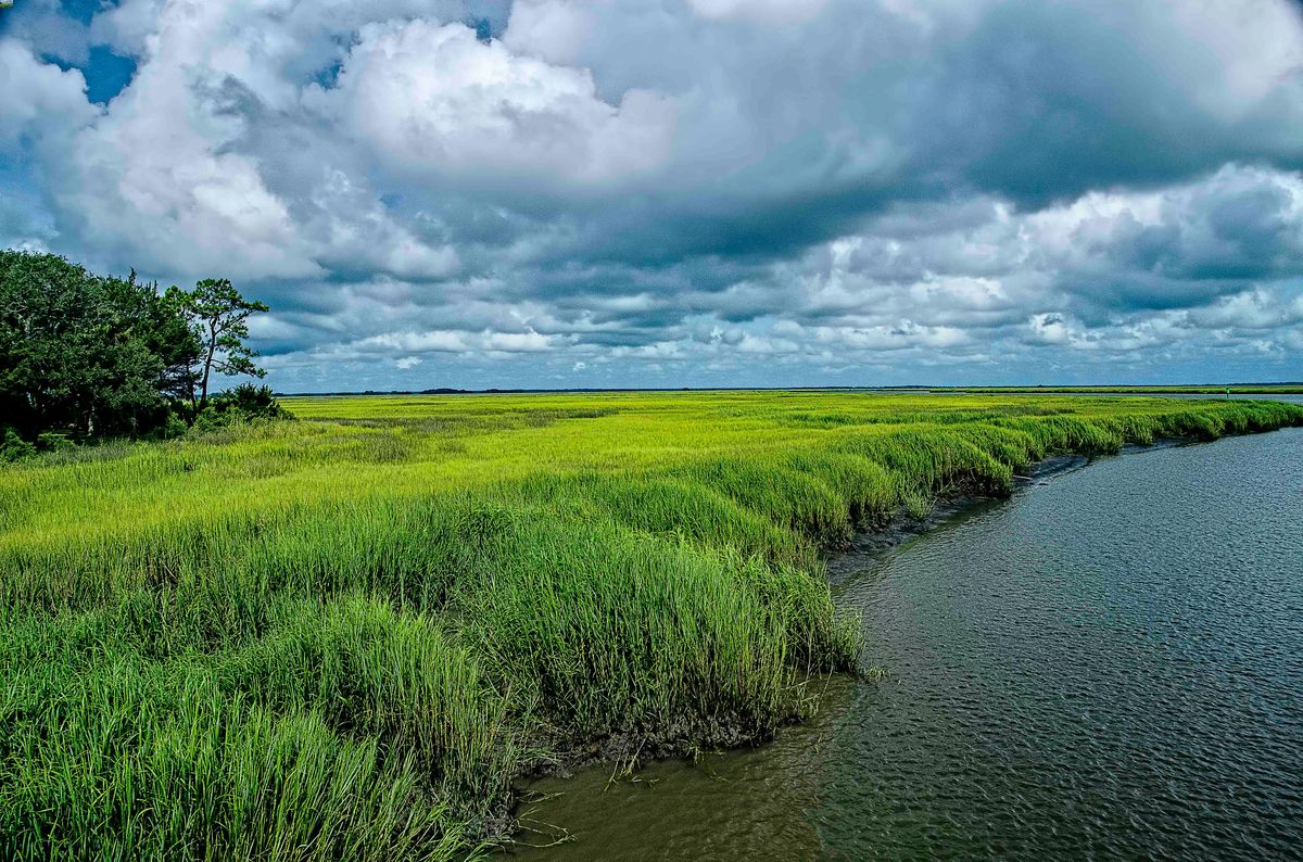 hidden-river-islands-of-little-st-simons-island