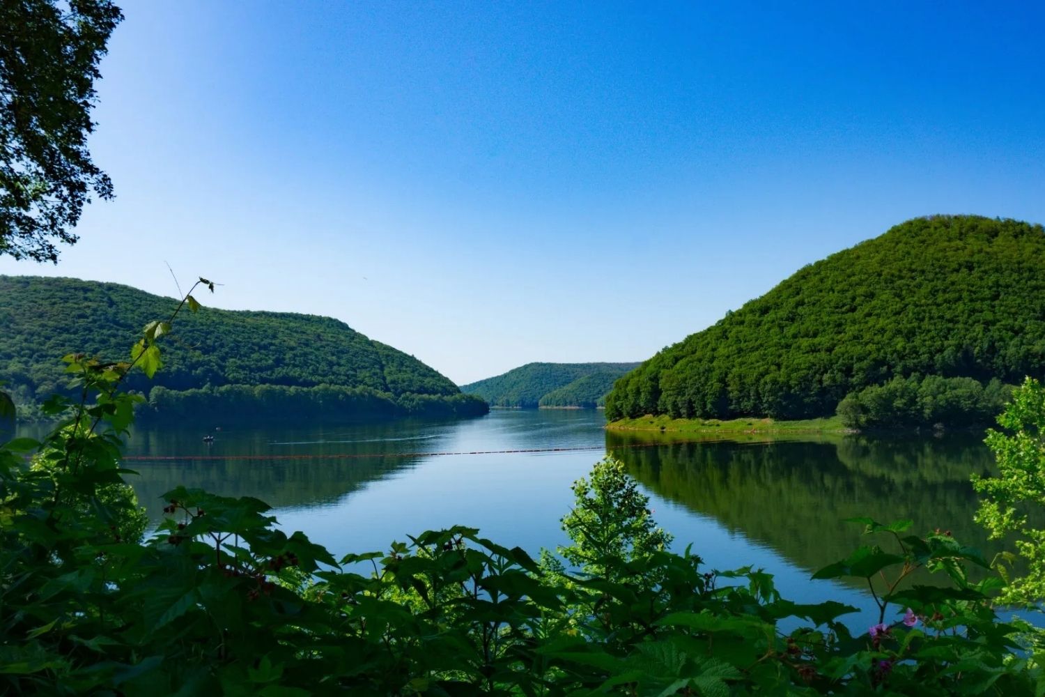 hidden-river-islands-of-pennsylvanias-allegheny