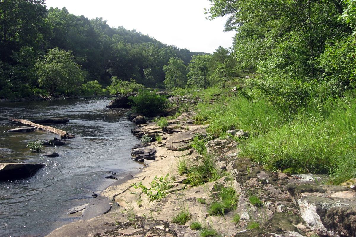 Hidden-River-Shoals-Of-Alabama8217s-Locust-Fork hidden-river-shoals-of-alabamas-locust-fork