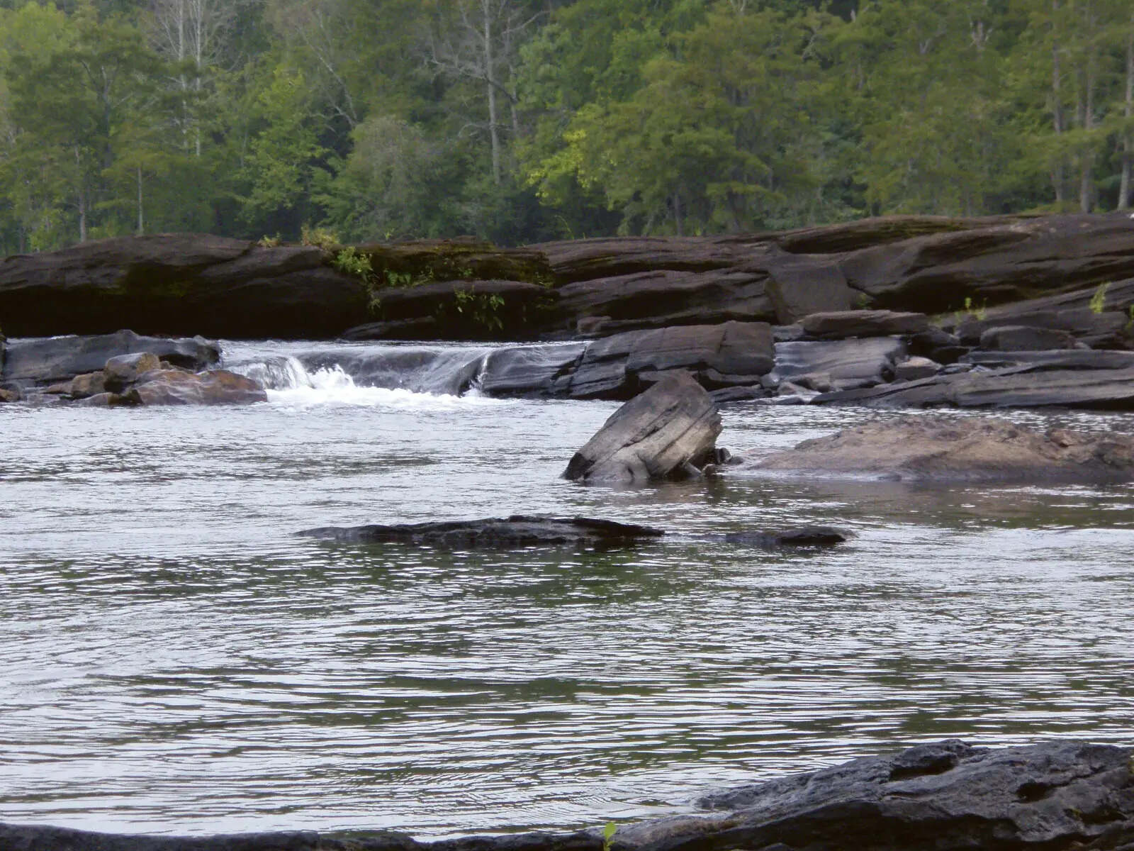 hidden-river-shoals-of-alabamas-tallapoosa-river